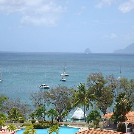 Palm'Studio Anse De Caritan Sainte-Anne Extérieur photo