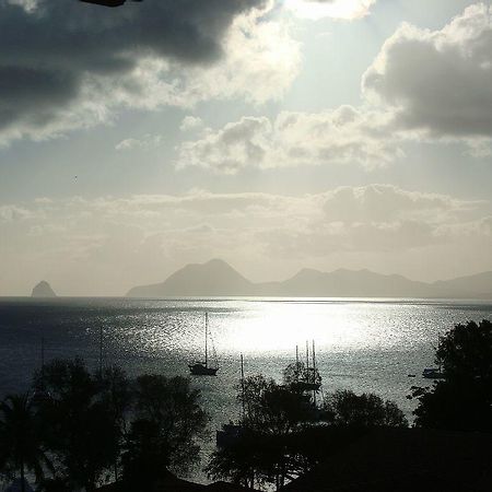 Palm'Studio Anse De Caritan Sainte-Anne Extérieur photo