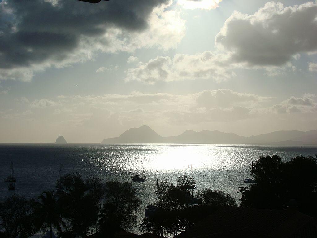 Palm'Studio Anse De Caritan Sainte-Anne Extérieur photo